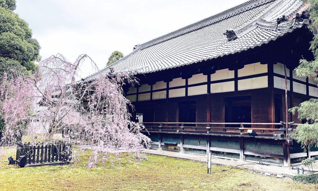 京都青蓮院